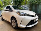 Toyota Vitz Car-For Rent