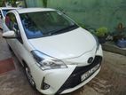 Toyota Vitz Car-For Rent