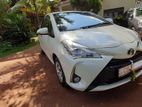 Toyota Vitz Car-For Rent