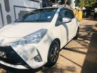 Toyota Vitz Car Rent