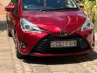Toyota Vitz Edition 03 2019
