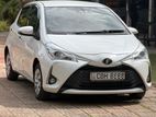 Toyota Vitz Edition 03 2019