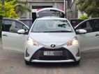 Toyota Vitz Edition 1 2019