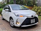 Toyota Vitz Edition 3-LowMileage 2019