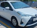 Toyota Vitz for Long Term Rent