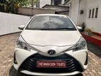 Toyota Vitz for Rent