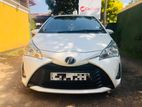 Toyota Vitz for Rent