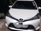 Toyota Vitz for Rent