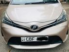 Toyota Vitz For Rent