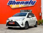 Toyota Vitz for Rent