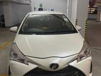 Toyota Vitz Highest Edition 2019