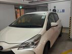 Toyota Vitz Highest Edition 2019