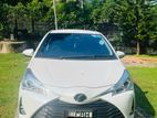 Toyota Vitz KSP 130 2019