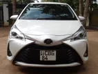 Toyota Vitz KSP 130 2019