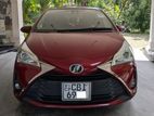 Toyota Vitz Ksp 130 Edition 03 2019