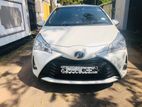 Toyota Vitz Rent a Car