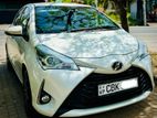 Toyota Vitz Safety Edition 2019