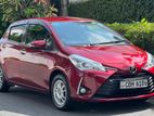 Toyota Vitz SAFETY EDITION 3 2019