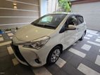 Toyota Vitz Safety Edition 3 2019