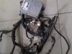 Toyota Vitz SCP10 Auto Engine Wire Harness