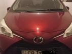 Toyota Vitz Wine Red 2019