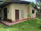 ( TR-1077) Valuable Single Storey House for Rent in Kaduwela