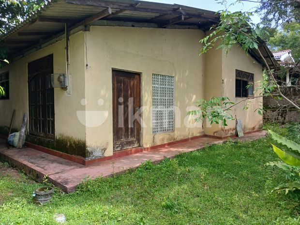 ( TR-1077) Valuable Single Storey House for Rent in Kaduwela, Colombo