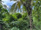Land for Sale Belliatta