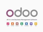 Business Web Development