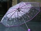 Transparent Clear Umbrella with PP Handle