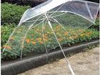 Transparent Umbrella