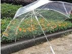 Transparent Umbrella - Fashionable