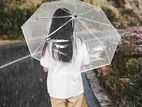 Transparent Umbrella