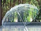 Transparent Umbrella -