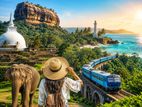 Travel Website Design with Development වෙබ් අඩවි නිර්මාණය