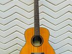 Traveling guitar