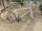 Treck Bicycle
