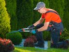Garden Cleaning