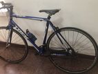 TREK 1.1 Alpha Racing