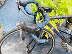 Trek Carbon Fiber