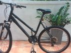 Trek Skye Mountain Bike