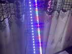 Tri Color Aquarium Lights