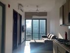 Tri-zen Apartment for rent in Colombo 2