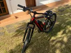 Triad E3 E-Bike