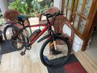 TRIAD Electric Bicycle