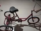 Tricycle Adult 20 Wheel