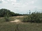 Trinco Land for sale