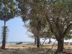 Trincomalee - Beach Front Land for Sale