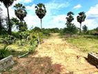 Trincomalee - Land for Sale