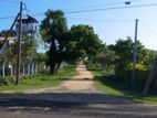 Trincomalee Nilaveli Road 327 Perches of Beach front Property for sale